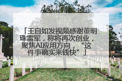 王自如发视频感谢董明珠雷军，称将再次创业，聚焦AI应用方向，“这件事确实来钱快”