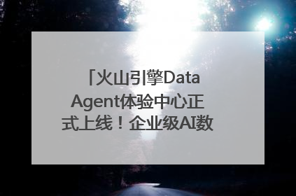 火山引擎Data Agent体验中心正式上线！企业级AI数据专家触手可及