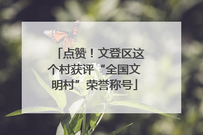 点赞！文登区这个村获评“全国文明村”荣誉称号