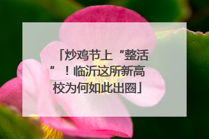 炒鸡节上“整活”！临沂这所新高校为何如此出圈