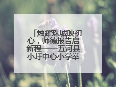 烛耀珠城映初心，师德报告启新程——五河县小圩中心小学举行师德报告会