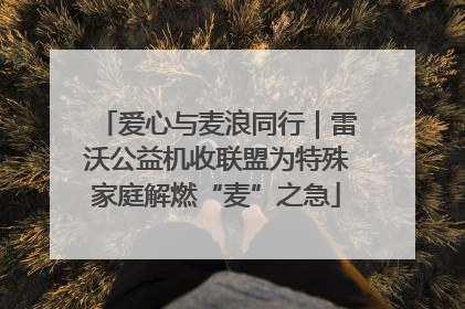 爱心与麦浪同行｜雷沃公益机收联盟为特殊家庭解燃“麦”之急
