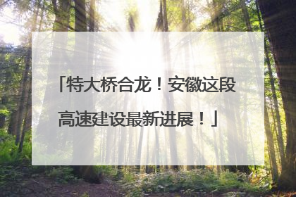 特大桥合龙！安徽这段高速建设最新进展！