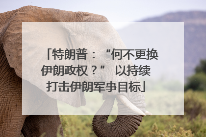 特朗普：“何不更换伊朗政权？” 以持续打击伊朗军事目标