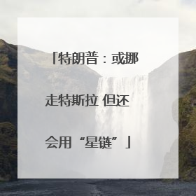 特朗普：或挪走特斯拉 但还会用“星链”