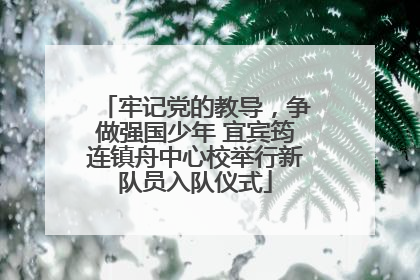 牢记党的教导，争做强国少年 宜宾筠连镇舟中心校举行新队员入队仪式