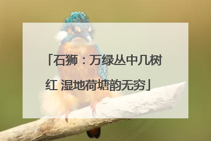 石狮：万绿丛中几树红 湿地荷塘韵无穷