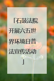 石鼓法院开展六五世界环境日普法宣传活动