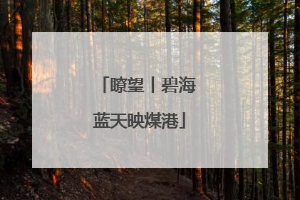 瞭望丨碧海蓝天映煤港