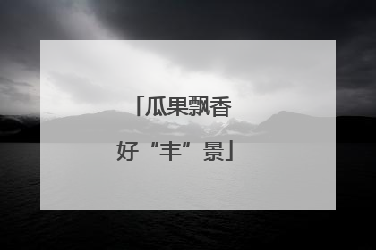 瓜果飘香 好“丰”景