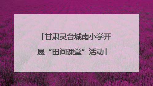 甘肃灵台城南小学开展“田间课堂”活动