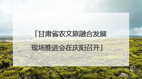 甘肃省农文旅融合发展现场推进会在庆阳召开