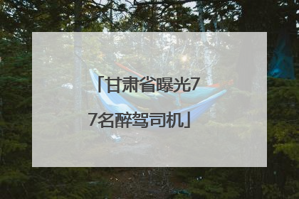 甘肃省曝光77名醉驾司机