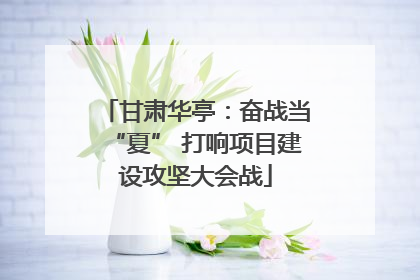 甘肃华亭：奋战当“夏” 打响项目建设攻坚大会战