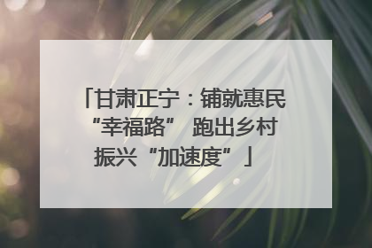 甘肃正宁：铺就惠民“幸福路” 跑出乡村振兴“加速度”