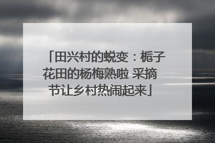 田兴村的蜕变：栀子花田的杨梅熟啦 采摘节让乡村热闹起来