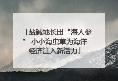 盐碱地长出“海人参” 小小海虫草为海洋经济注入新活力