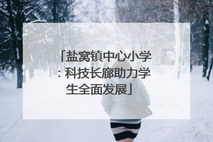 盐窝镇中心小学：科技长廊助力学生全面发展