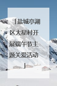 盐城亭湖区大星村开展端午节主题关爱活动