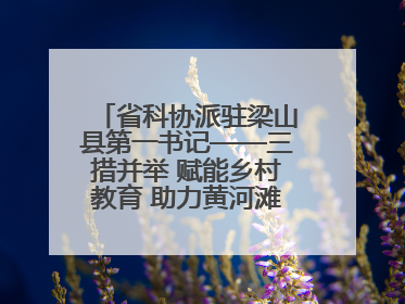 省科协派驻梁山县第一书记——三措并举 赋能乡村教育 助力黄河滩娃健康成长