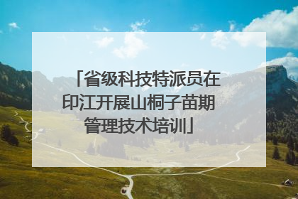 省级科技特派员在印江开展山桐子苗期管理技术培训