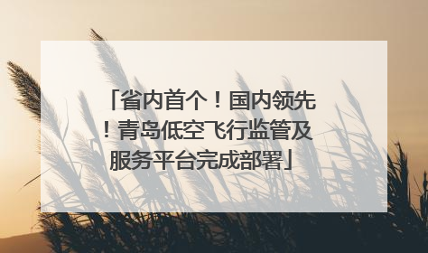 省内首个！国内领先！青岛低空飞行监管及服务平台完成部署