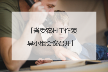 省委农村工作领导小组会议召开