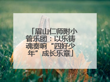 眉山仁师附小管乐团：以乐铸魂奏响“四好少年”成长乐章
