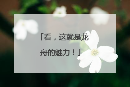 看，这就是龙舟的魅力！