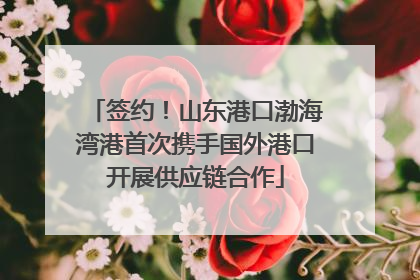 签约！山东港口渤海湾港首次携手国外港口开展供应链合作