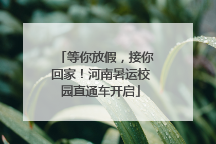 等你放假，接你回家！河南暑运校园直通车开启