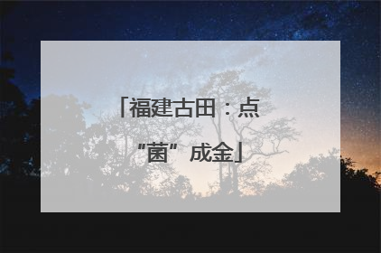 福建古田：点“菌”成金