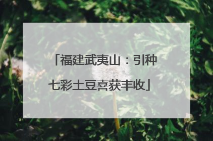 福建武夷山：引种七彩土豆喜获丰收
