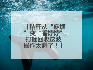 秸秆从“麻烦”变“香饽饽” 打捆回收这波操作太赚了！