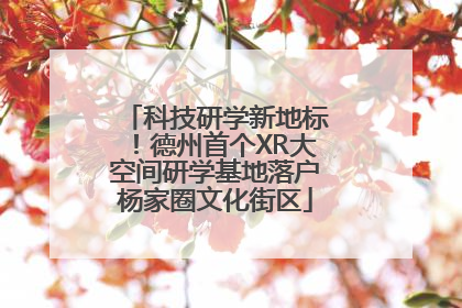 科技研学新地标！德州首个XR大空间研学基地落户杨家圈文化街区