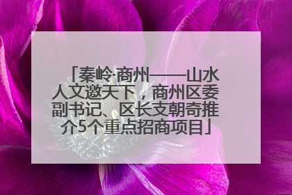 秦岭·商州——山水人文邀天下，商州区委副书记、区长支朝奇推介5个重点招商项目