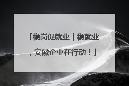 稳岗促就业｜稳就业，安徽企业在行动！