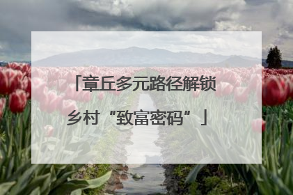 章丘多元路径解锁乡村“致富密码”