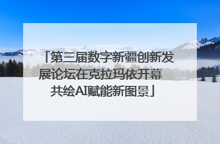 第三届数字新疆创新发展论坛在克拉玛依开幕 共绘AI赋能新图景
