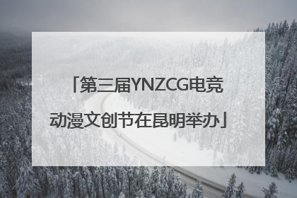第三届YNZCG电竞动漫文创节在昆明举办