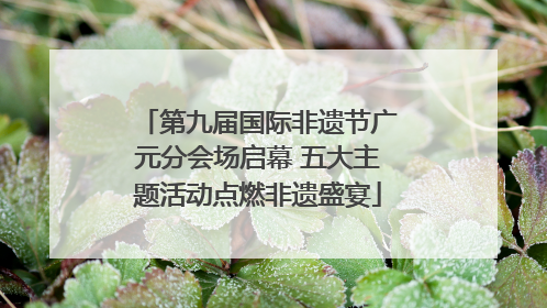 第九届国际非遗节广元分会场启幕 五大主题活动点燃非遗盛宴