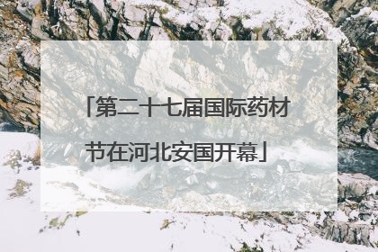 第二十七届国际药材节在河北安国开幕