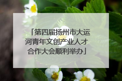第四届扬州市大运河青年文创产业人才合作大会顺利举办