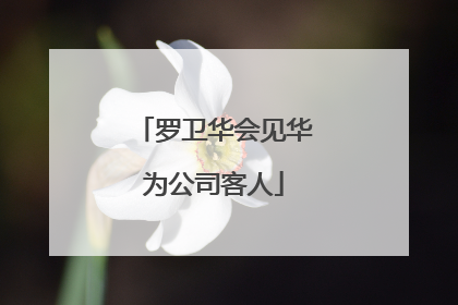 罗卫华会见华为公司客人