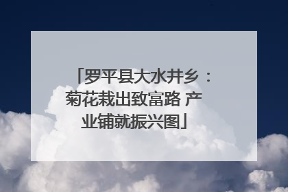 罗平县大水井乡：菊花栽出致富路 产业铺就振兴图