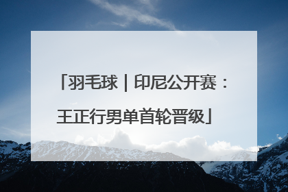 羽毛球｜印尼公开赛：王正行男单首轮晋级