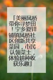 美丽凤桥带你寻梦田！宁乡夏铎铺镇凤桥社区创新共享菜园，市民认领菜土，体验耕种收获乐趣