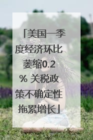 美国一季度经济环比萎缩0.2% 关税政策不确定性拖累增长
