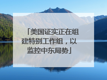 美国证实正在组建特别工作组，以监控中东局势