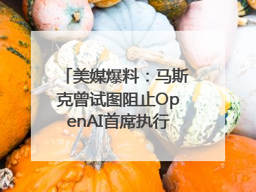 美媒爆料：马斯克曾试图阻止OpenAI首席执行官奥尔特曼在中东的AI交易